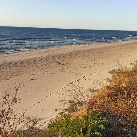 Letniskowy Zacisze Pod Sosnami 트르제삭츠