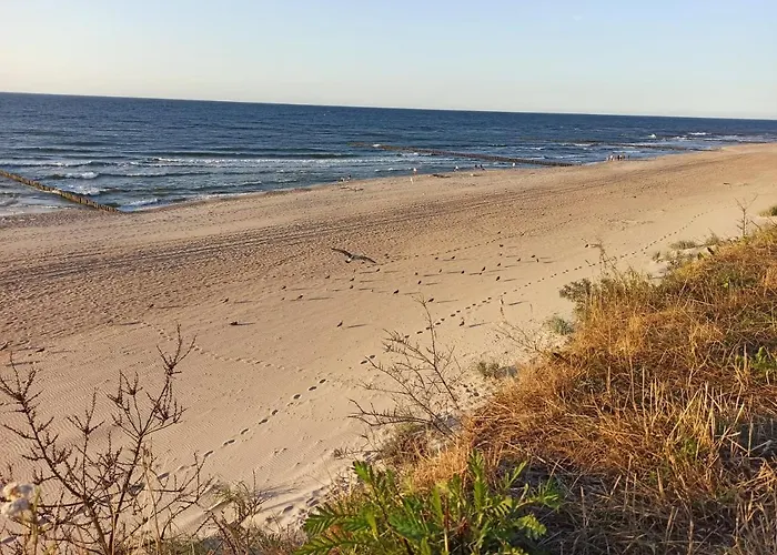 Letniskowy Zacisze Pod Sosnami Trzęsacz